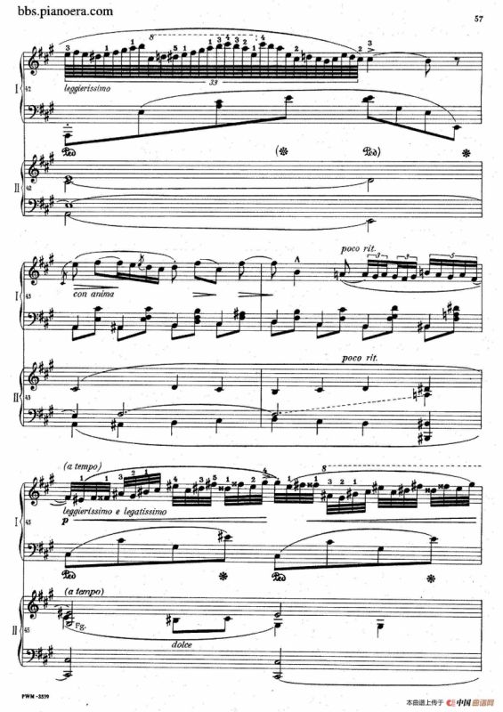 Grand Fantasy on Polish Airs Op.13（华丽的波兰民歌幻想曲·双钢琴版）