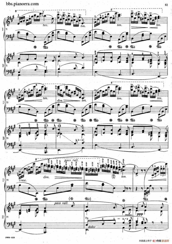 Grand Fantasy on Polish Airs Op.13（华丽的波兰民歌幻想曲·双钢琴版）