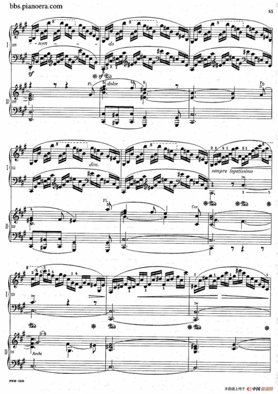 Grand Fantasy on Polish Airs Op.13（华丽的波兰民歌幻想曲·双钢琴版）