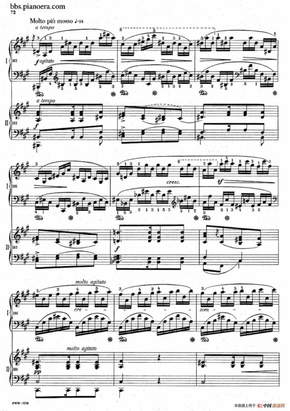 Grand Fantasy on Polish Airs Op.13（华丽的波兰民歌幻想曲·双钢琴版）