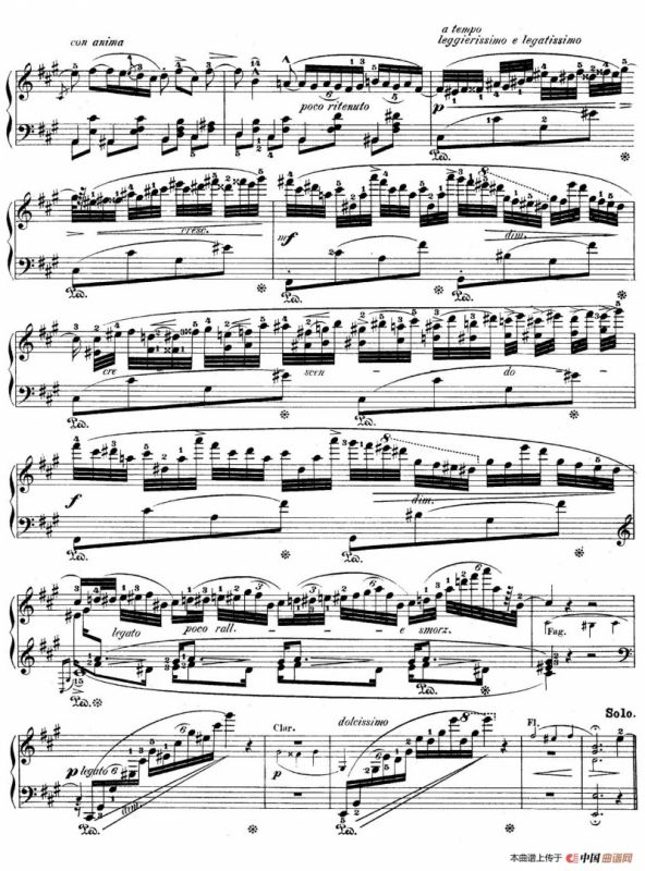 Grand Fantasy on Polish Airs Op.13（华丽的波兰民歌幻想曲·钢琴独奏版）