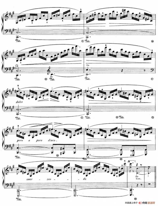 Grand Fantasy on Polish Airs Op.13（华丽的波兰民歌幻想曲·钢琴独奏版）