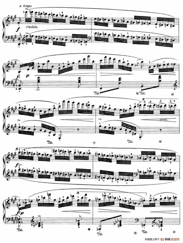 Grand Fantasy on Polish Airs Op.13（华丽的波兰民歌幻想曲·钢琴独奏版）