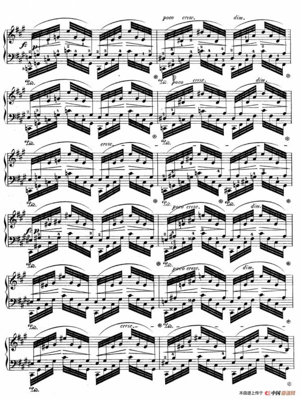 Grand Fantasy on Polish Airs Op.13（华丽的波兰民歌幻想曲·钢琴独奏版）