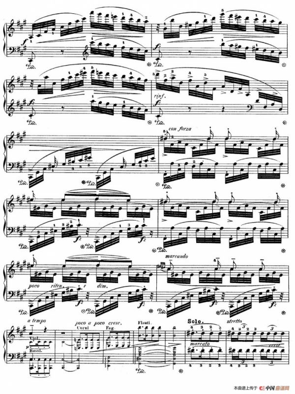 Grand Fantasy on Polish Airs Op.13（华丽的波兰民歌幻想曲·钢琴独奏版）