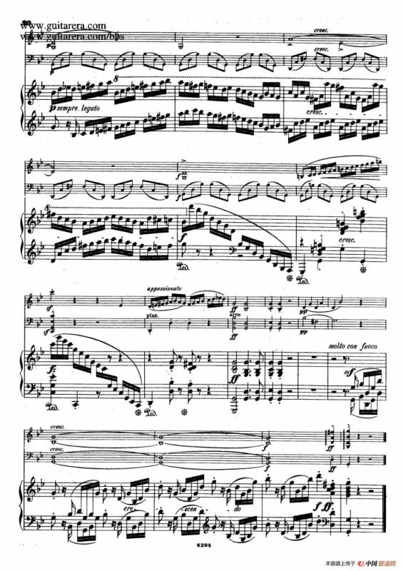 Piano Trio in g Minor Op.8（g小调钢琴三重奏）