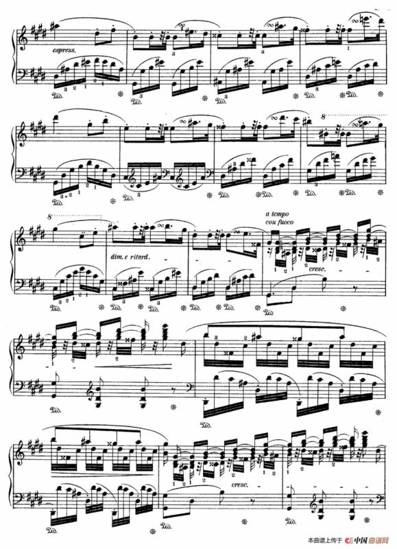 Rondo in c Minor Op.1（c小调回旋曲）