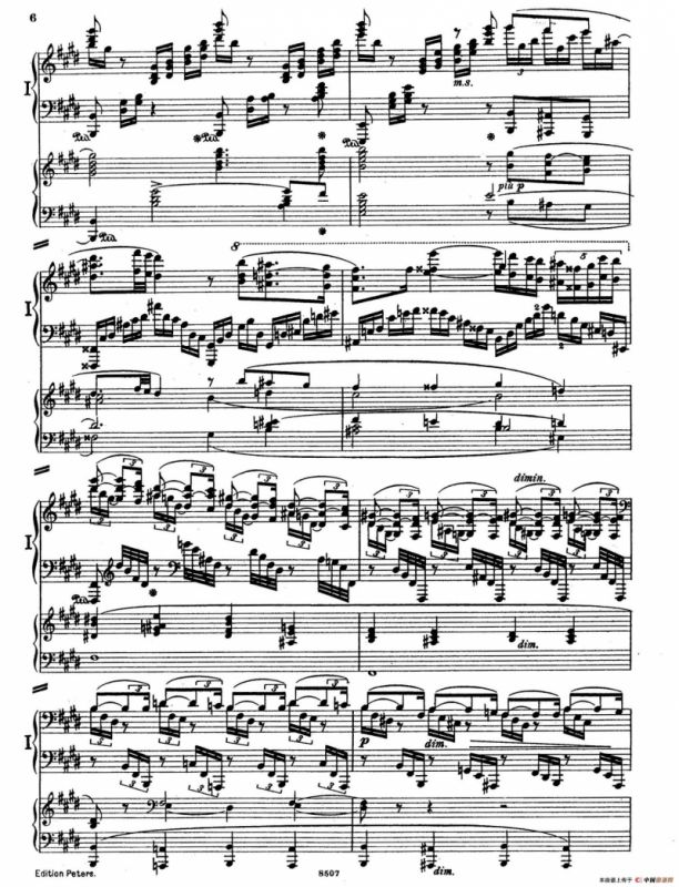 Piano Concerto in E Major Op.59（E大调钢琴协奏曲·双钢琴·第一乐章）