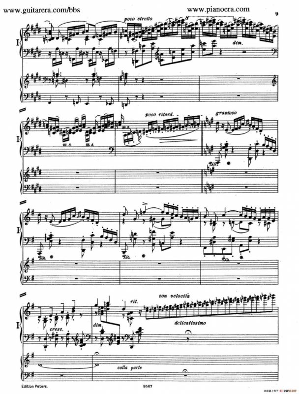 Piano Concerto in E Major Op.59（E大调钢琴协奏曲·双钢琴·第一乐章）