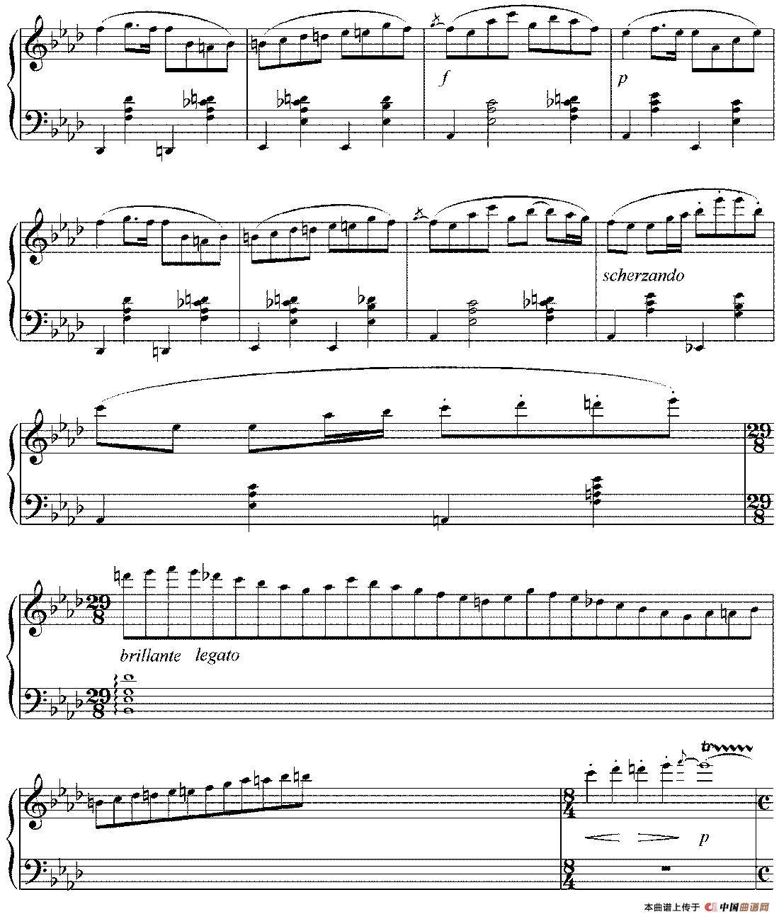 夜曲—肖邦的回忆（又名：忆肖邦）