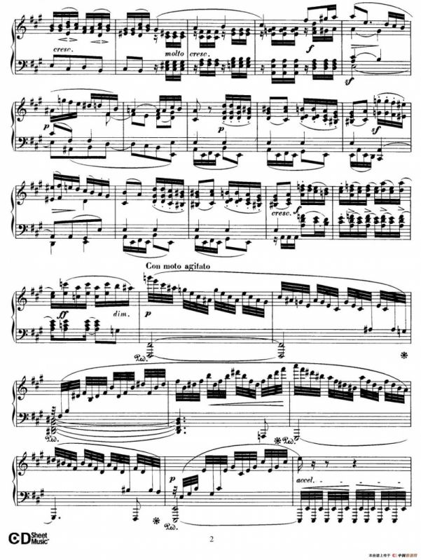 Fantasy in f-Sharp Minor Op.28（升f小调幻想曲）