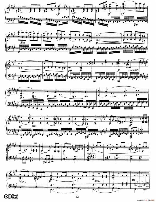 Fantasy in f-Sharp Minor Op.28（升f小调幻想曲）