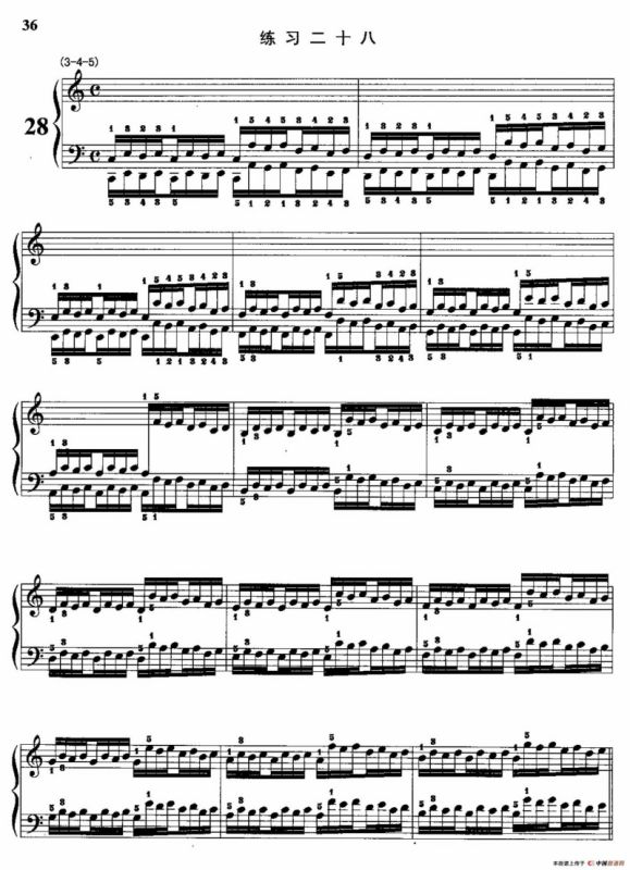 哈农钢琴练指法（第二部分·28）