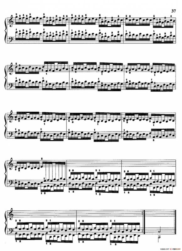 哈农钢琴练指法（第二部分·28）