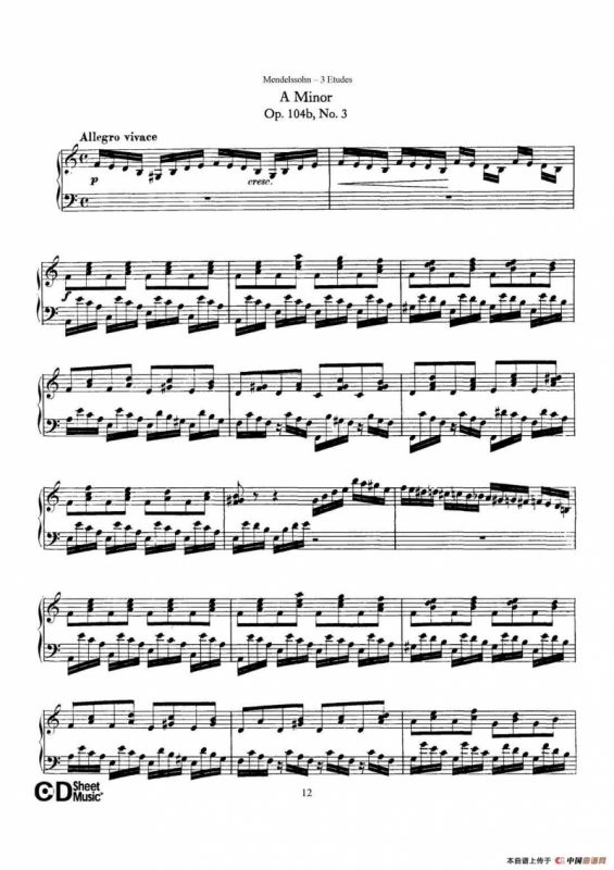 3 Etudes Op.104b（3首练习曲·3）