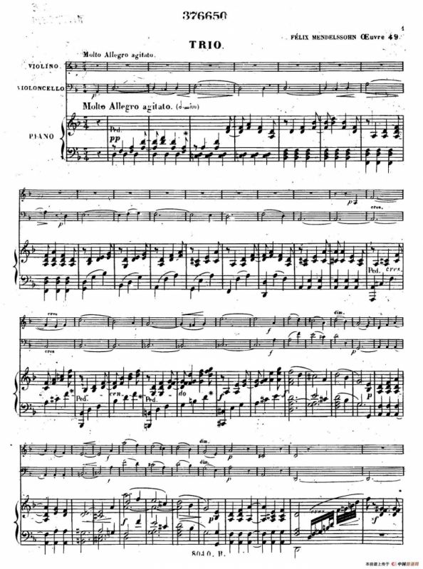 Piano Trio No.1 in d Minor Op.49（d小调第一钢琴三重奏·第一乐章）