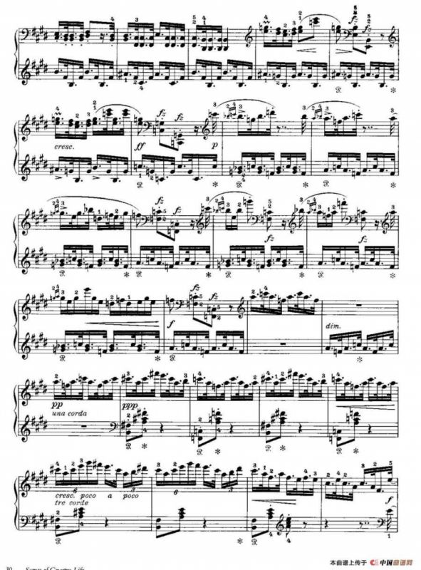 Scenes of Country Life Op·19（民间生活场景·Ⅱ）