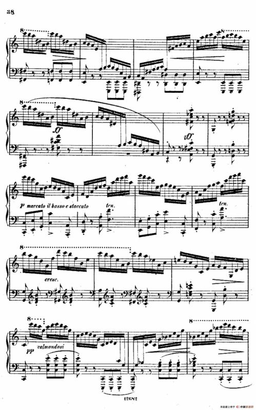 Douze Etudes de Salon Op.5（12首沙龙练习曲·7）