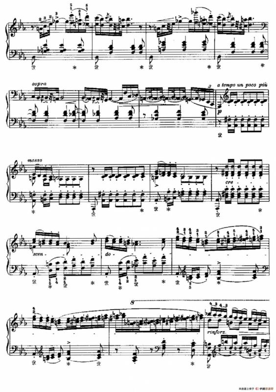 Two Polonaises S.223（2首波洛奈兹舞曲·c小调）