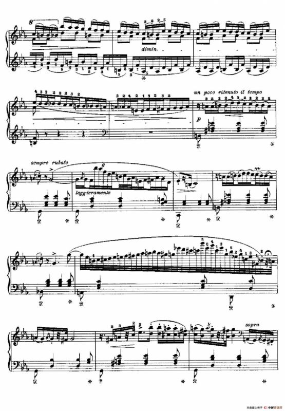 Two Polonaises S.223（2首波洛奈兹舞曲·c小调）