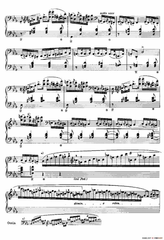 Two Polonaises S.223（2首波洛奈兹舞曲·c小调）