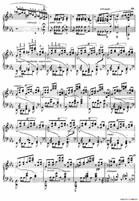 Two Polonaises S.223（2首波洛奈兹舞曲·c小调）