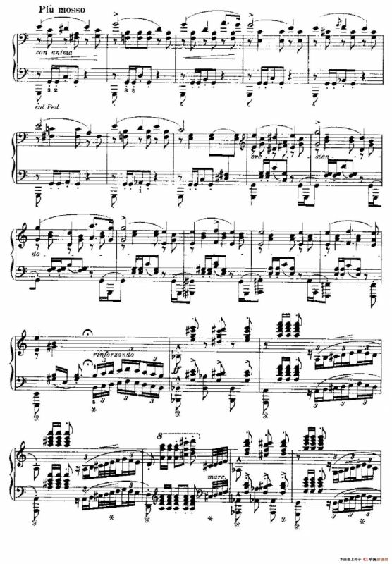 Two Polonaises S.223（2首波洛奈兹舞曲·c小调）