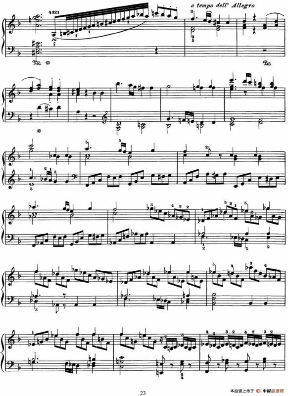 二十八部钢琴协奏曲 No.20（P16-30）