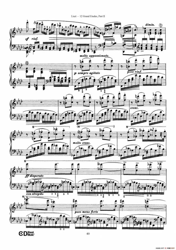 12 Grand Etudes S.137（12首华丽的练习曲·10）
