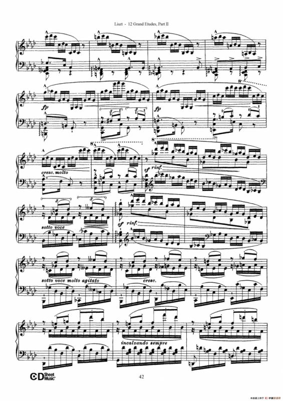 12 Grand Etudes S.137（12首华丽的练习曲·10）