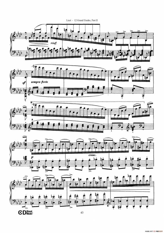 12 Grand Etudes S.137（12首华丽的练习曲·10）