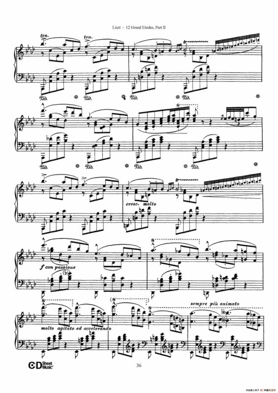 12 Grand Etudes S.137（12首华丽的练习曲·9）