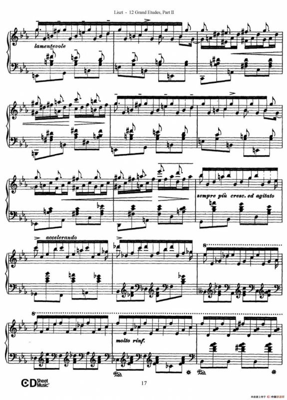 12 Grand Etudes S.137（12首华丽的练习曲·8）