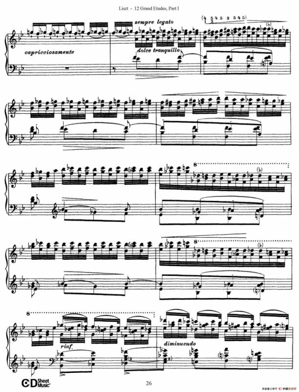 12 Grand Etudes S.137（12首华丽的练习曲·5）