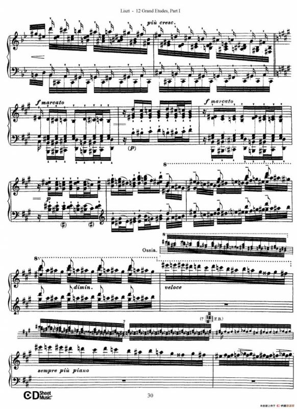 12 Grand Etudes S.137（12首华丽的练习曲·5）