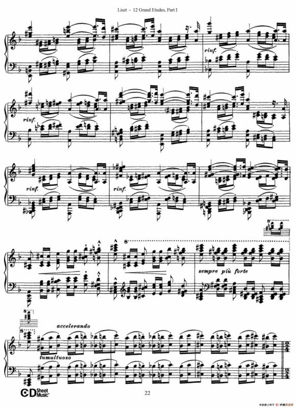 12 Grand Etudes S.137（12首华丽的练习曲·4）