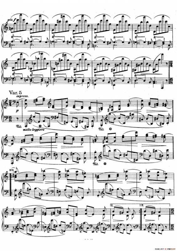 帕格尼尼主题变奏曲（Op.35 Livre1）