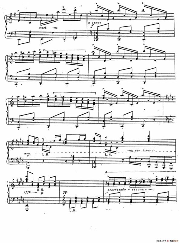 Carmen Variations 12 Pieces（12首卡门主题变奏曲·2）