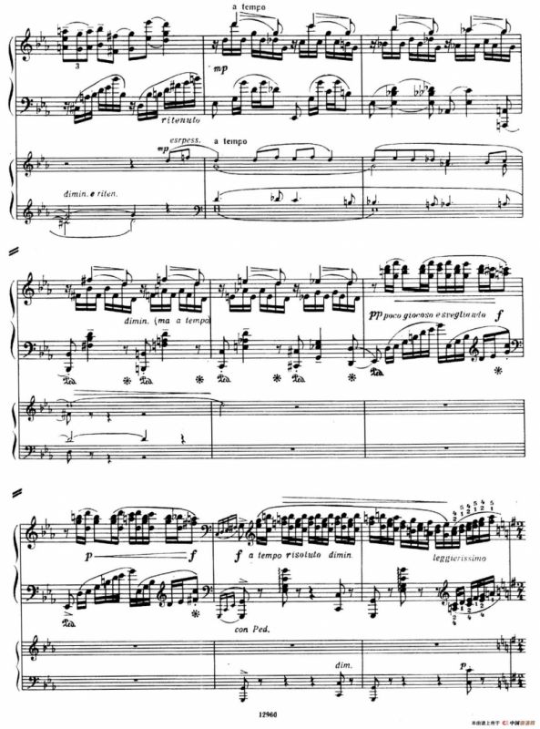 Piano Concerto No.2 in c Minor Op.50（c小调第二钢琴协奏曲·Ⅰ·双钢琴）