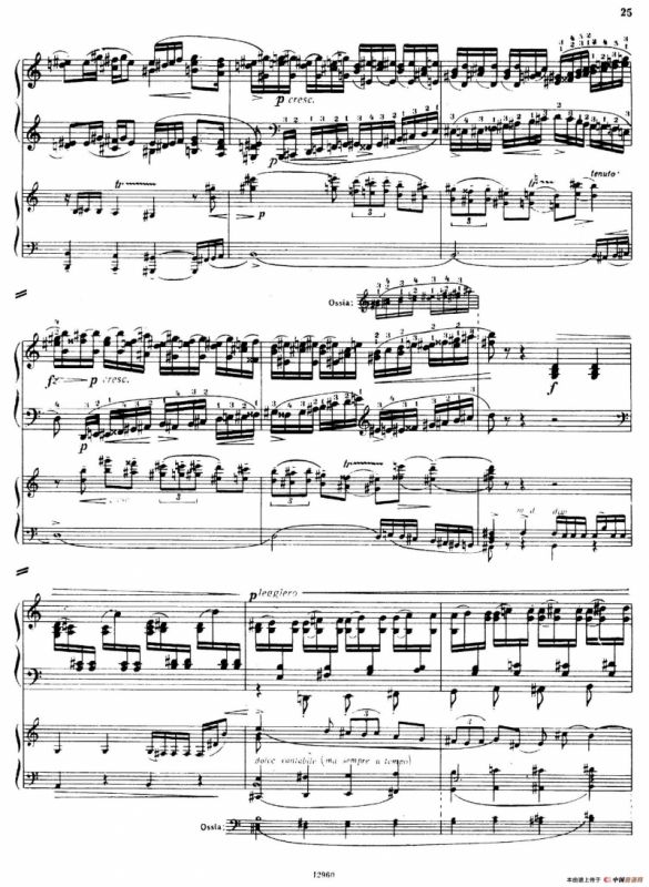 Piano Concerto No.2 in c Minor Op.50（c小调第二钢琴协奏曲·Ⅰ·双钢琴）