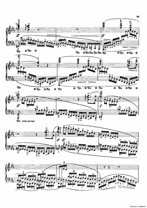 12 Etudes Op.10 柯尔托教学版（12首练习曲·12）