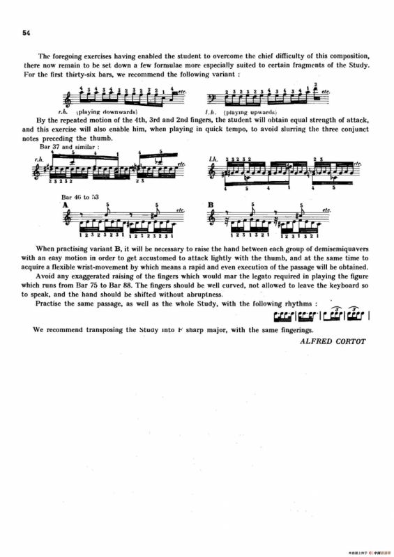 12 Etudes Op.10 柯尔托教学版（12首练习曲·8）