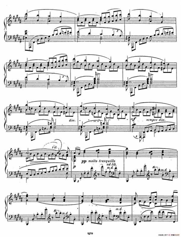 Nocturne Fantasie Op.20（幻想夜曲）