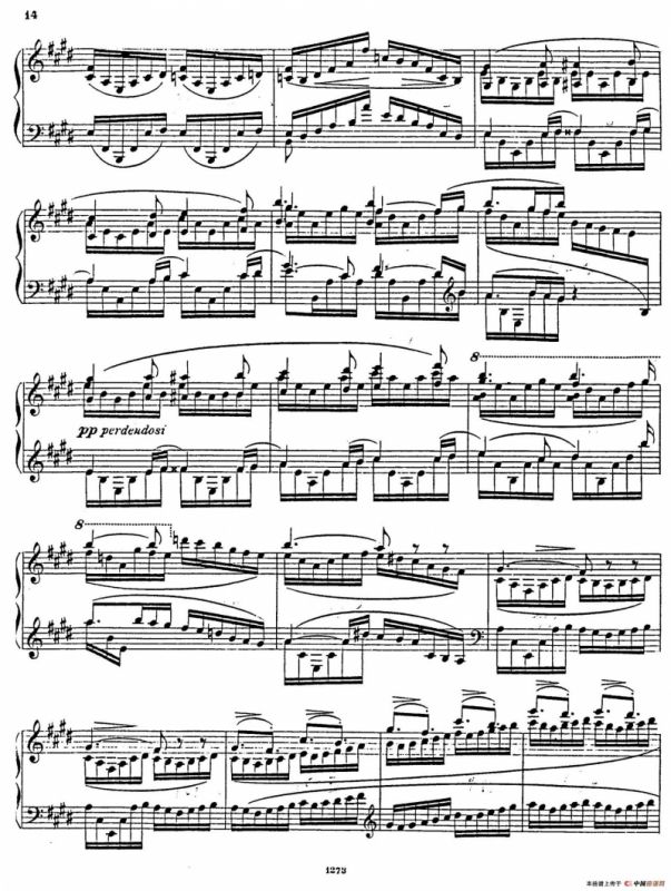 Nocturne Fantasie Op.20（幻想夜曲）