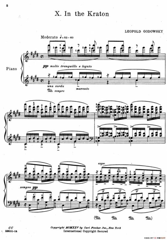 Java Suiten（爪哇组曲·Ⅹ）