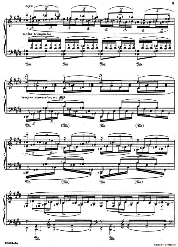 Java Suiten（爪哇组曲·Ⅹ）