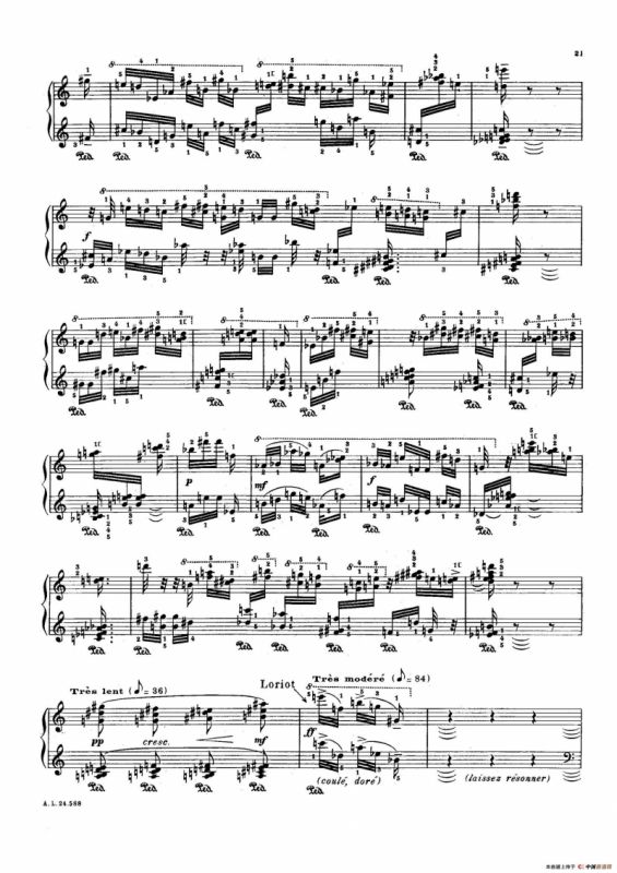 La Fauvette des Jardins（园林莺）