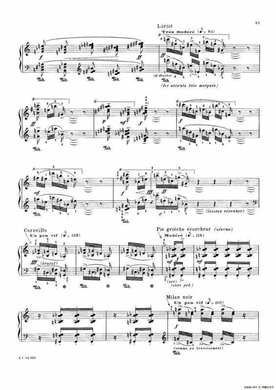 La Fauvette des Jardins（园林莺）