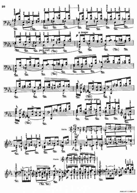 53首改编练习曲（No.15A）