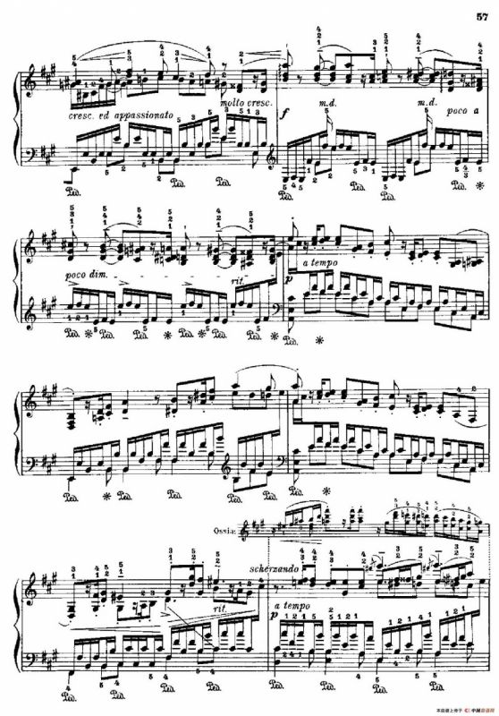 53首改编练习曲（No.10）